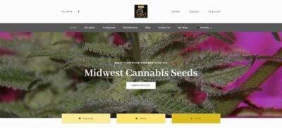 Cannabis Seeds